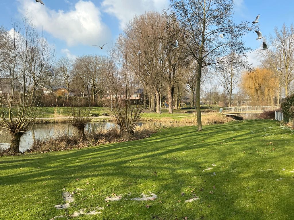 De Hennepe 155 - Tiel