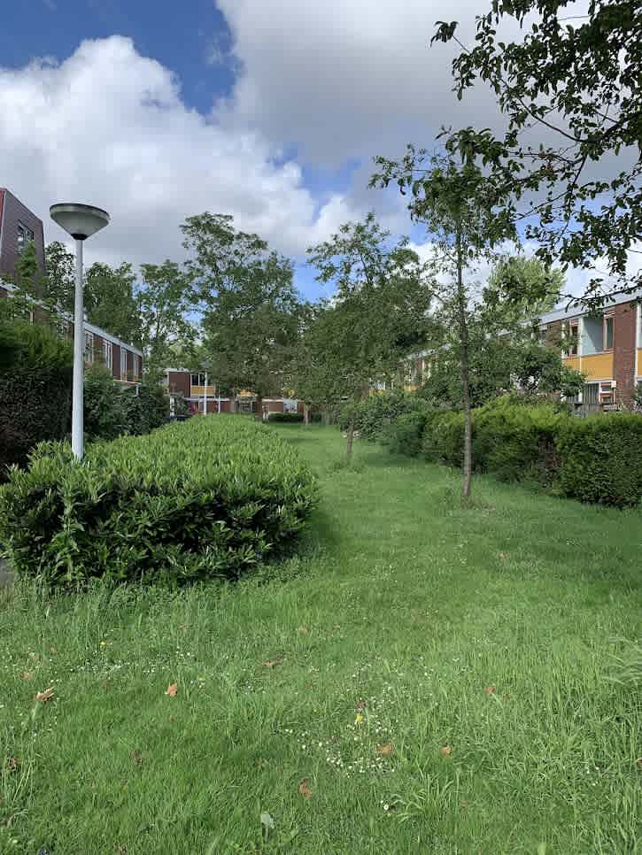 Linnaeusstraat 3 - Zaandam