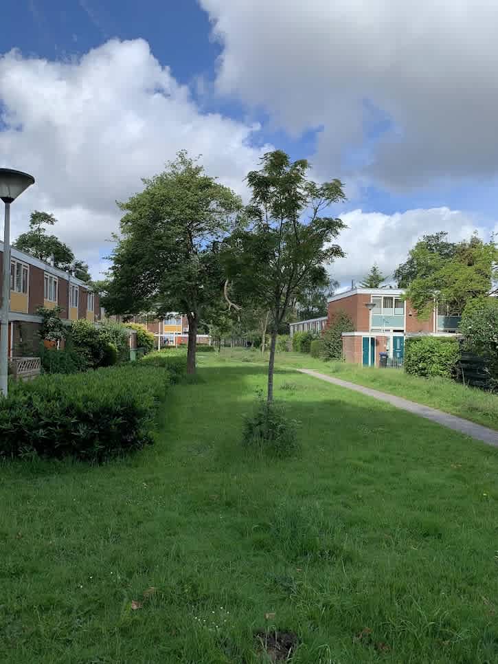 Linnaeusstraat 3 - Zaandam