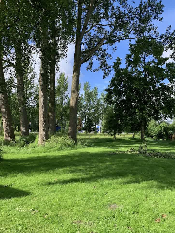 Linnaeusstraat 3 - Zaandam