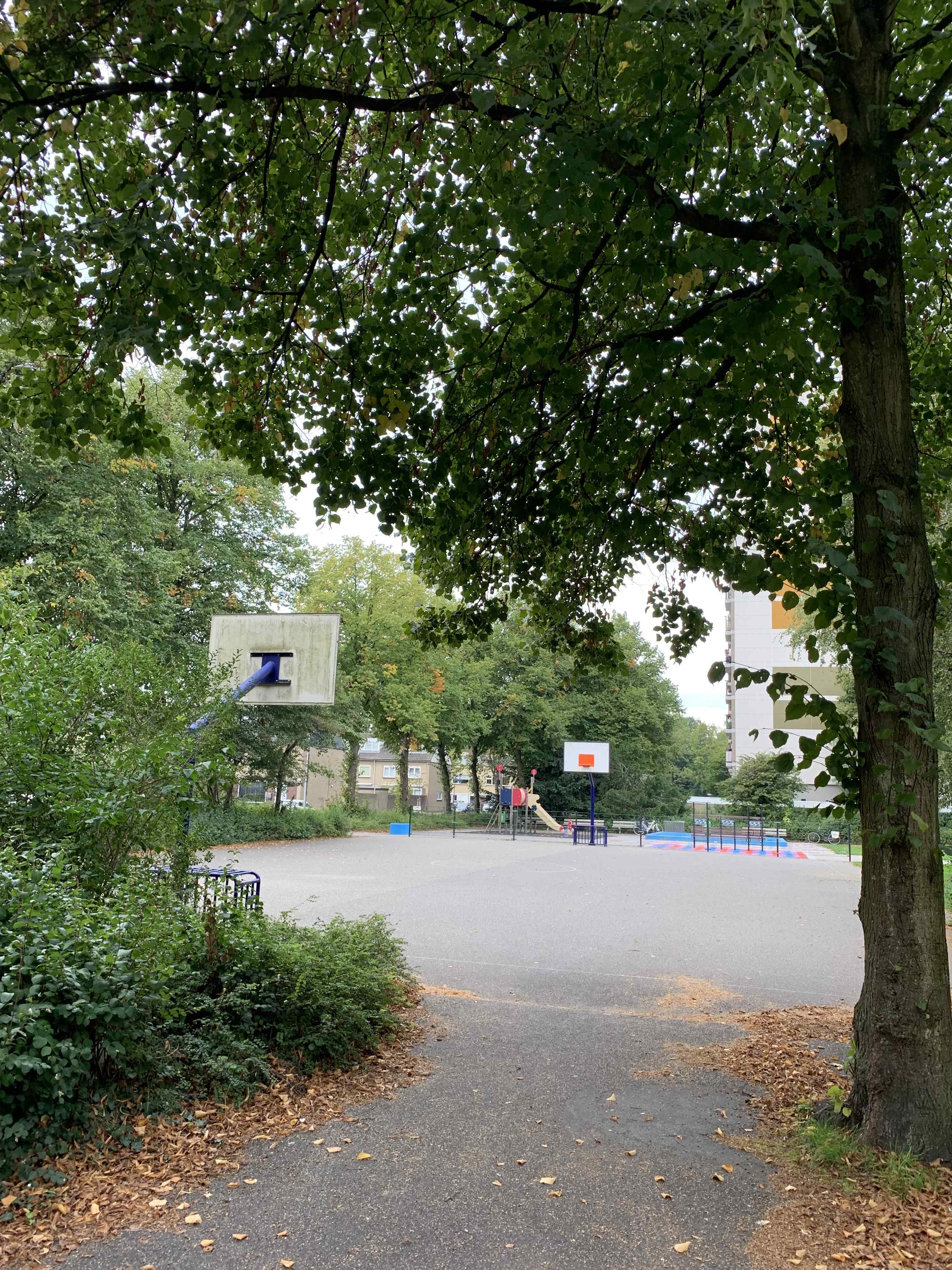 Mont Blanc 25 - Amstelveen