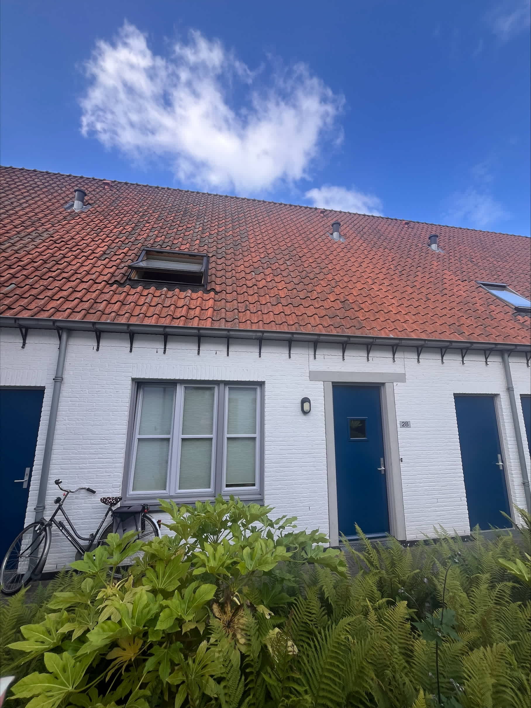 vrije-sector-woningen te huur op Johan de Wittstraat 28