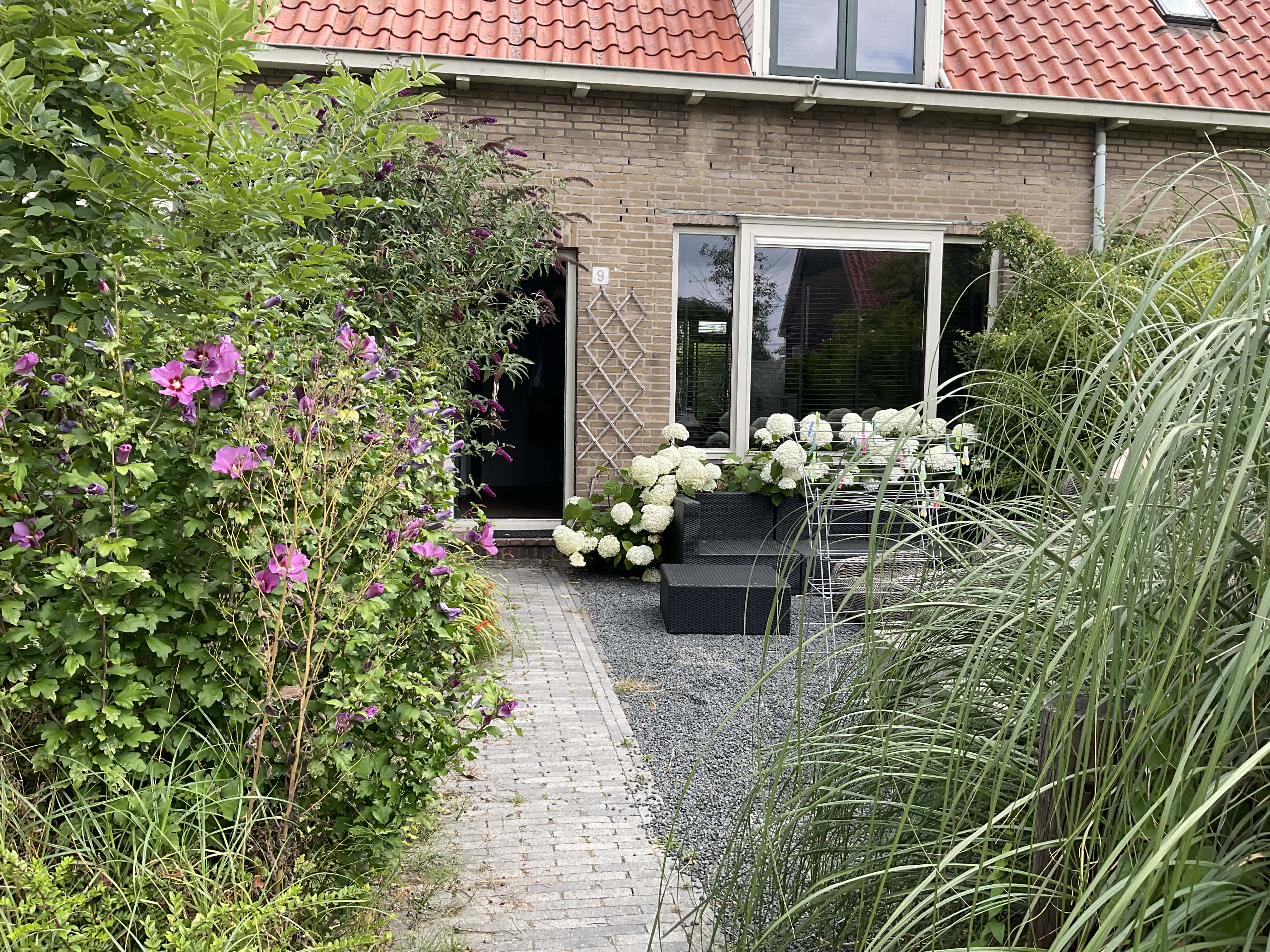 apartments for rent on Torenven 9