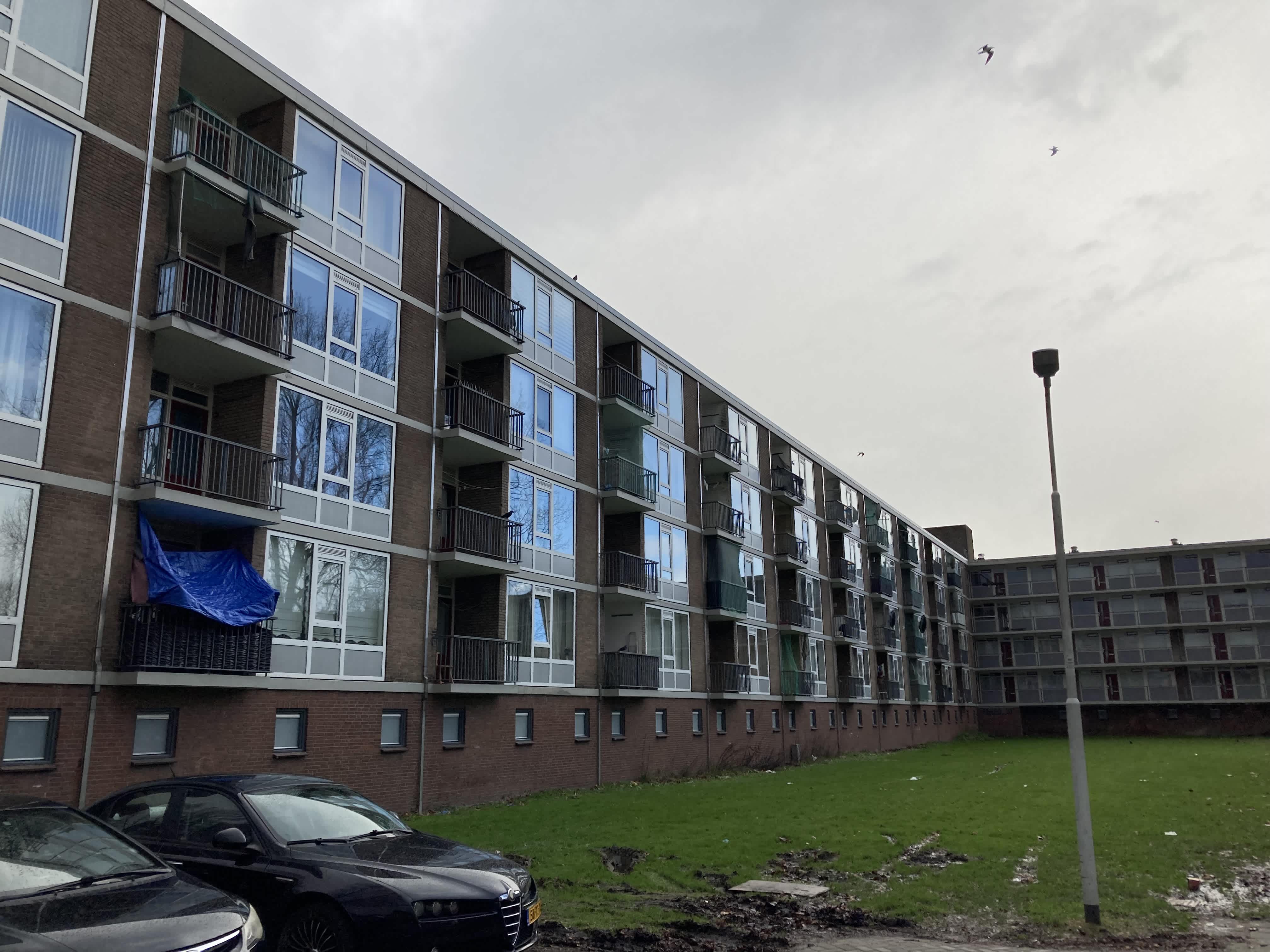 Dodonaeusstraat 84 - Zaandam