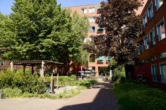 Merelstraat 166 - Groningen