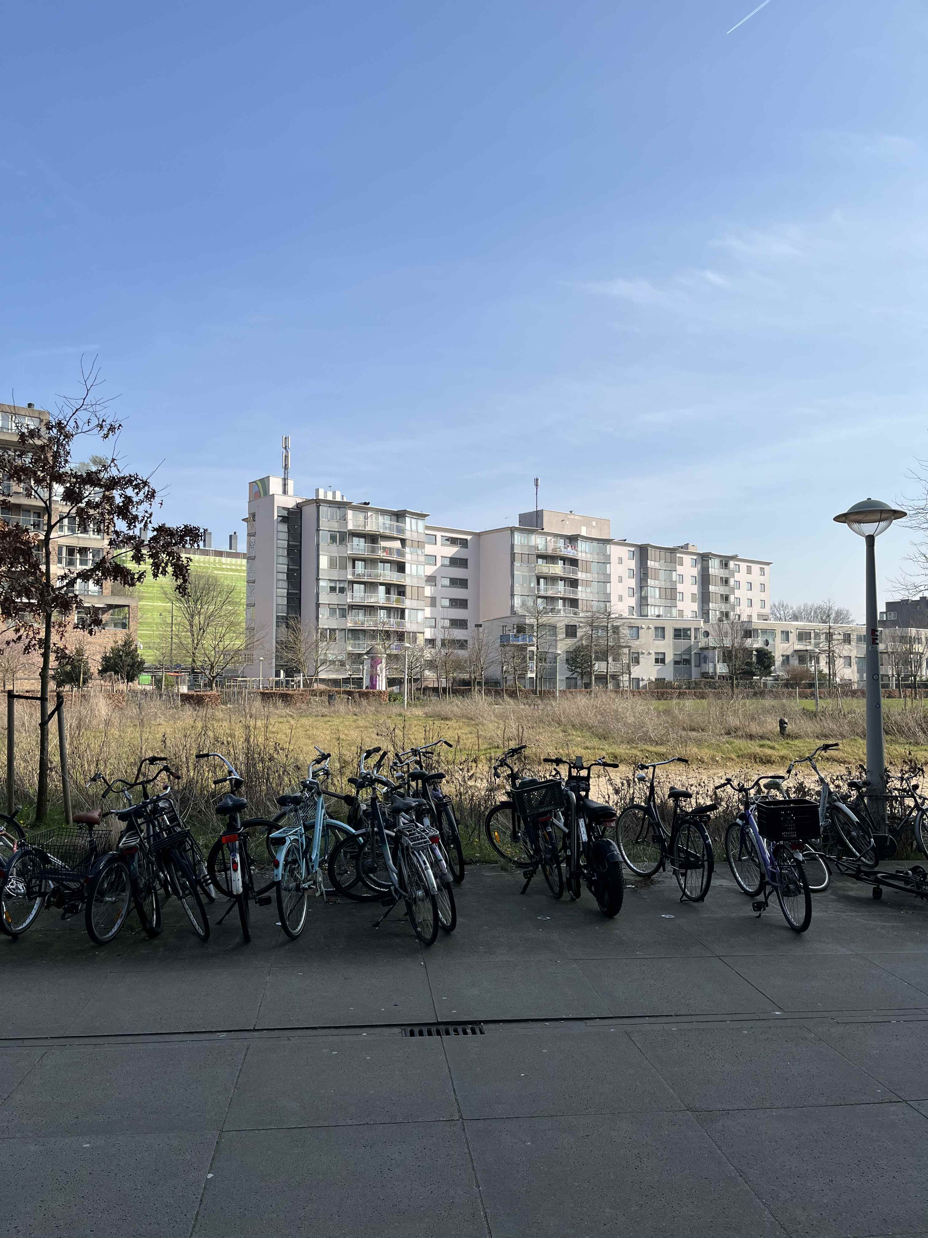 Bos en Lommerplantsoen 95-K - Amsterdam