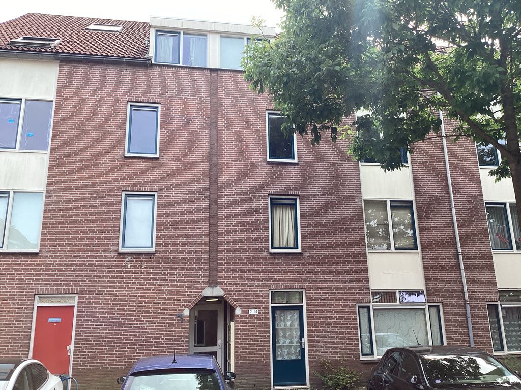 Wolfstraat 14