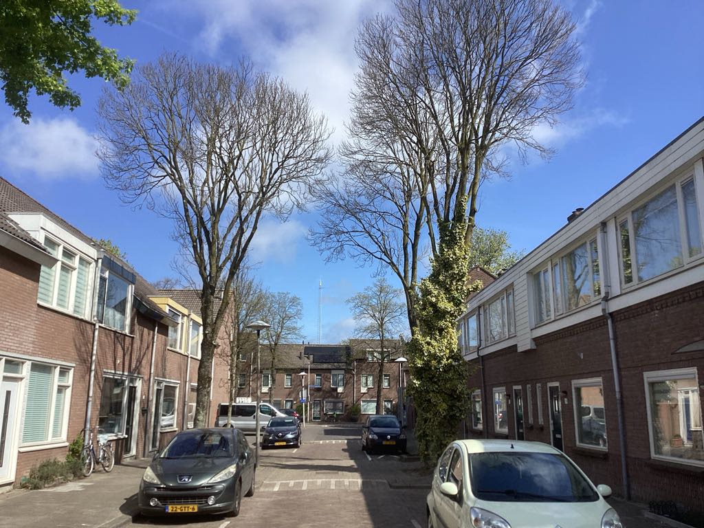 Wijnbesstraat 22 - Utrecht