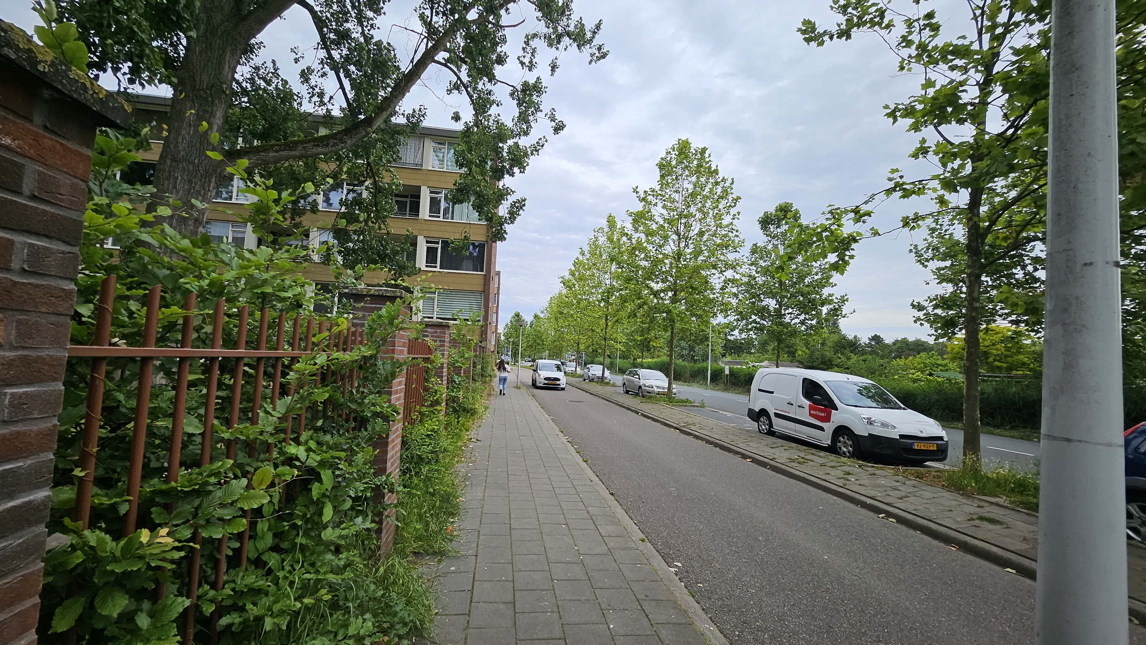 Poelenburg 402 - Zaandam