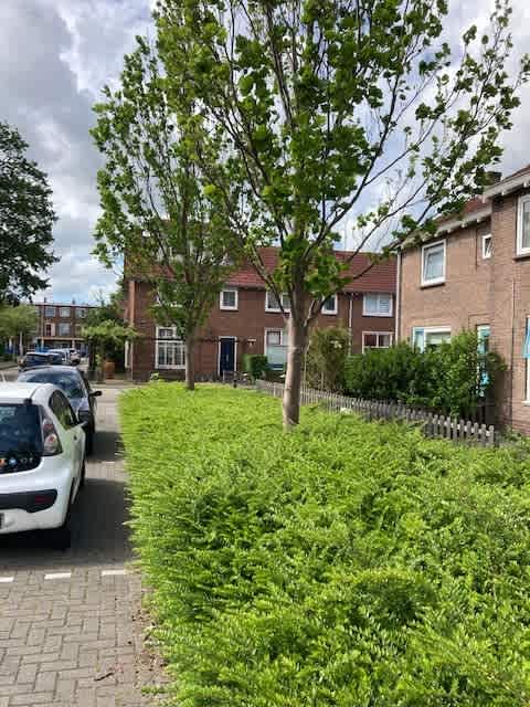 Dahliastraat 3A - Wormerveer