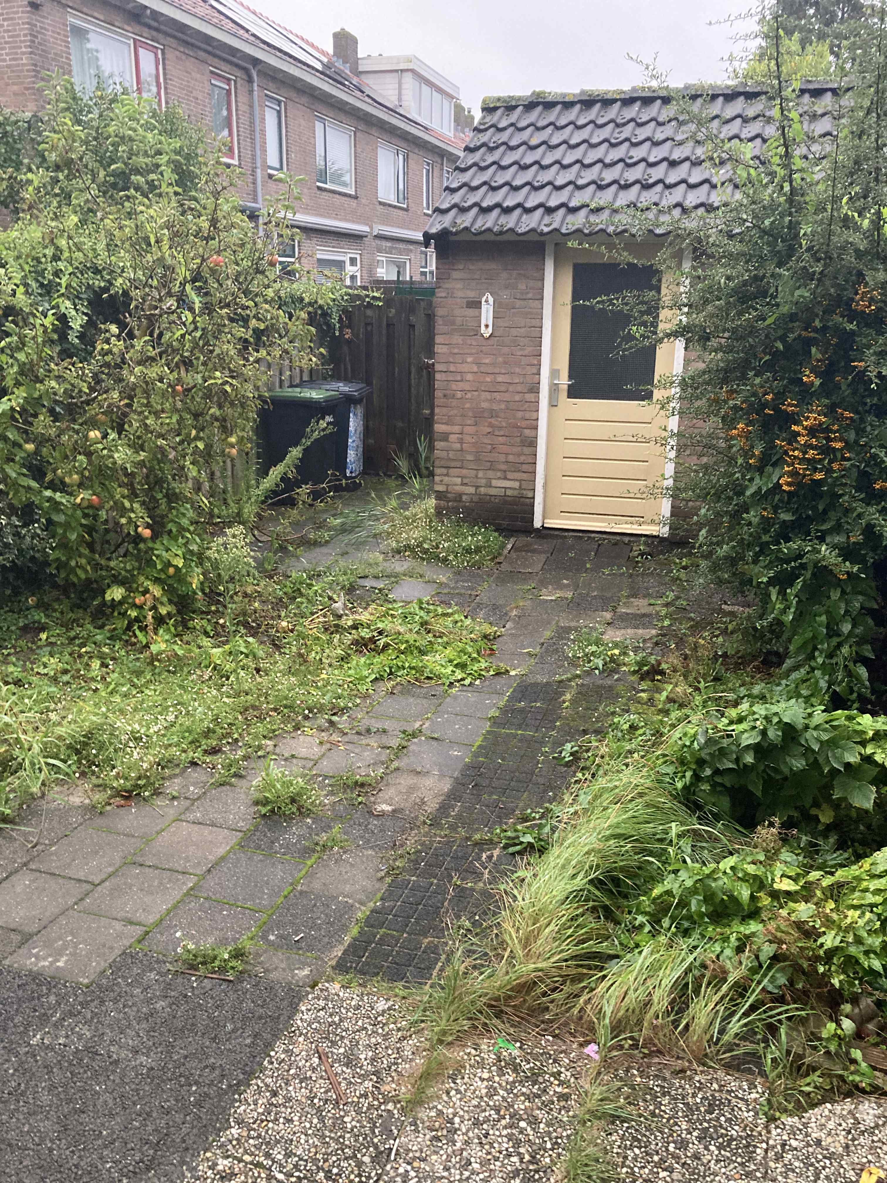 Walraven van Hallstraat 6 - Zaandam