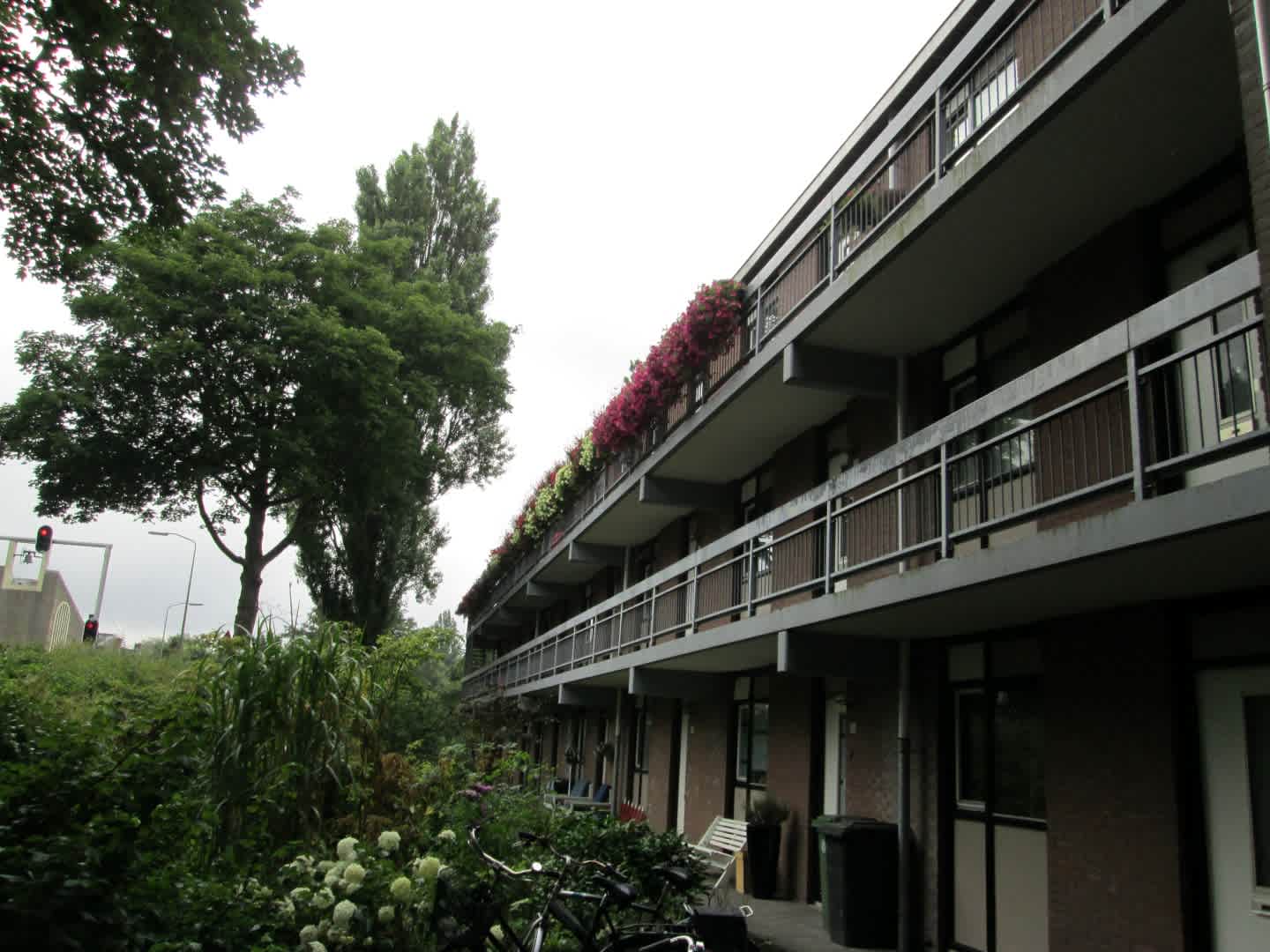 Boendermaker 25 - Zaandam