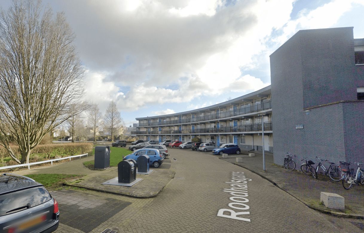 Roodhalsgans 137 - Uithoorn