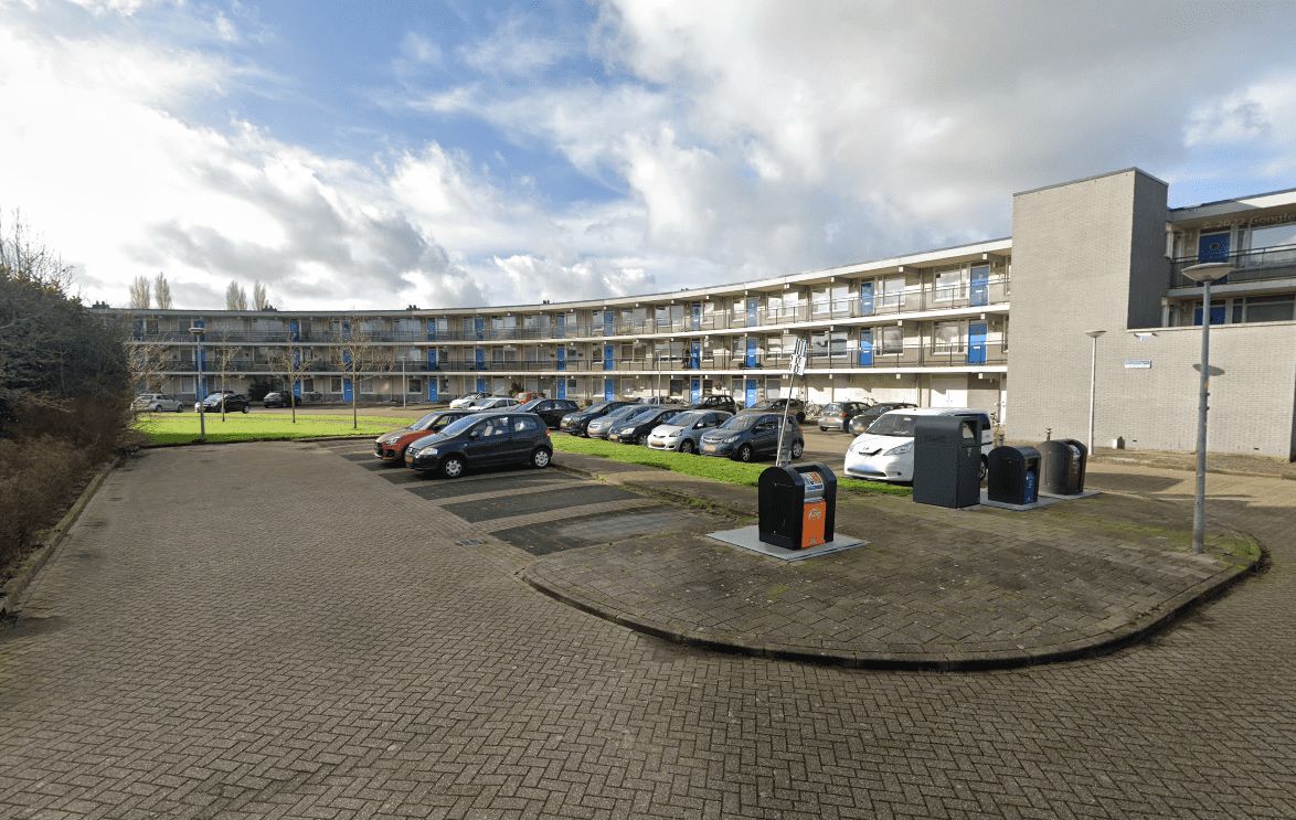 Roodhalsgans 137 - Uithoorn