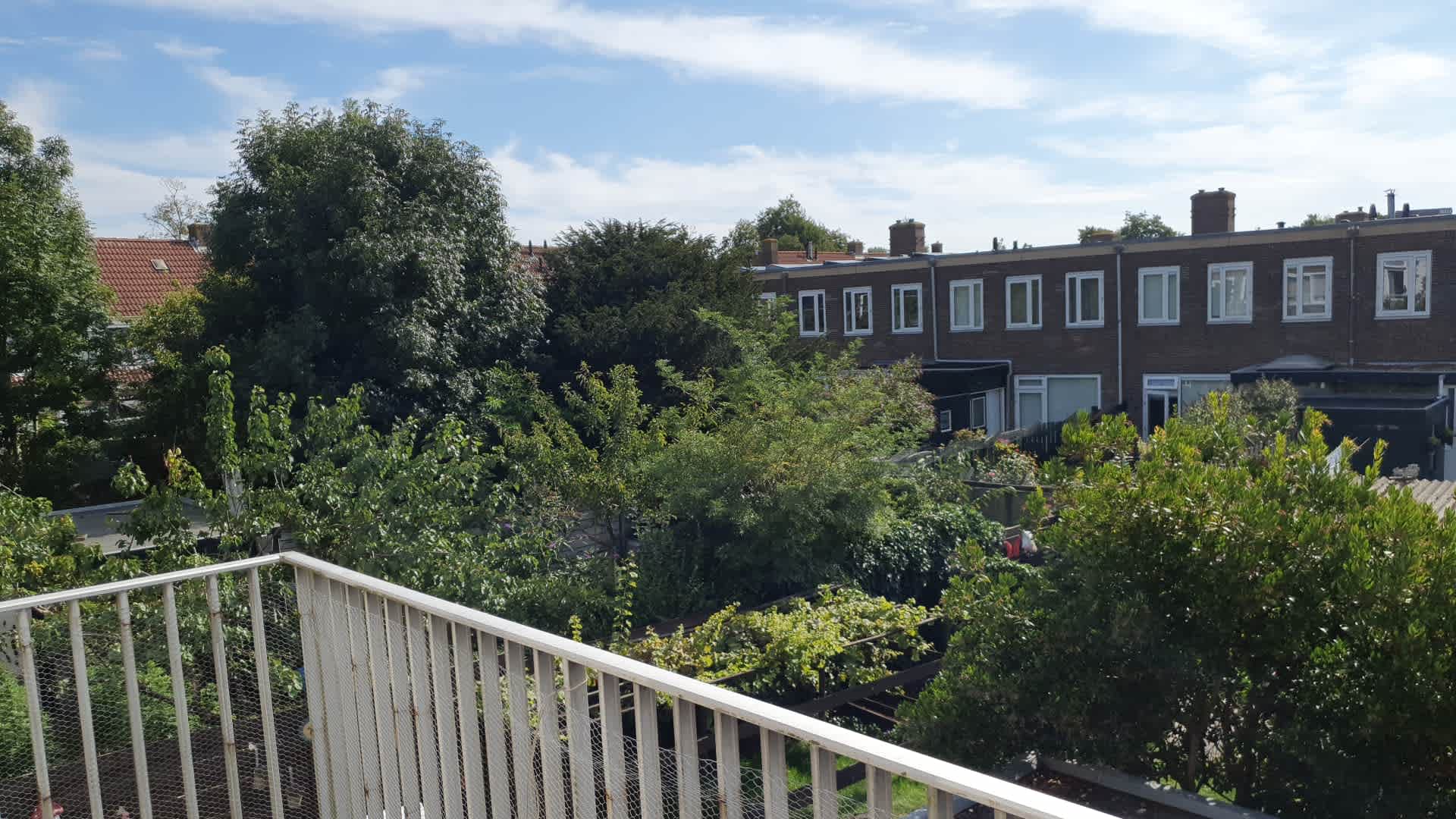 Schalkwijkerstraat 141 - Haarlem