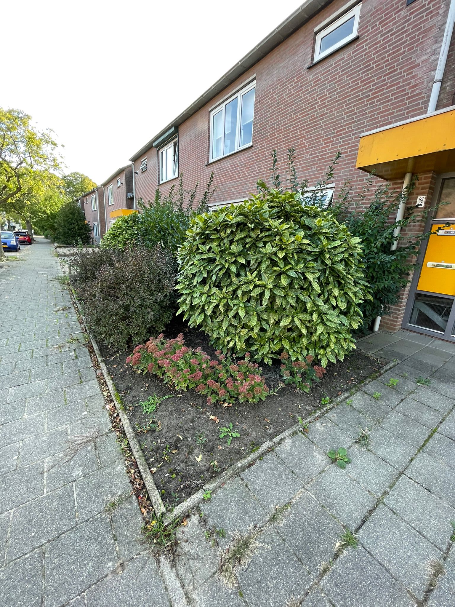 Foto 3