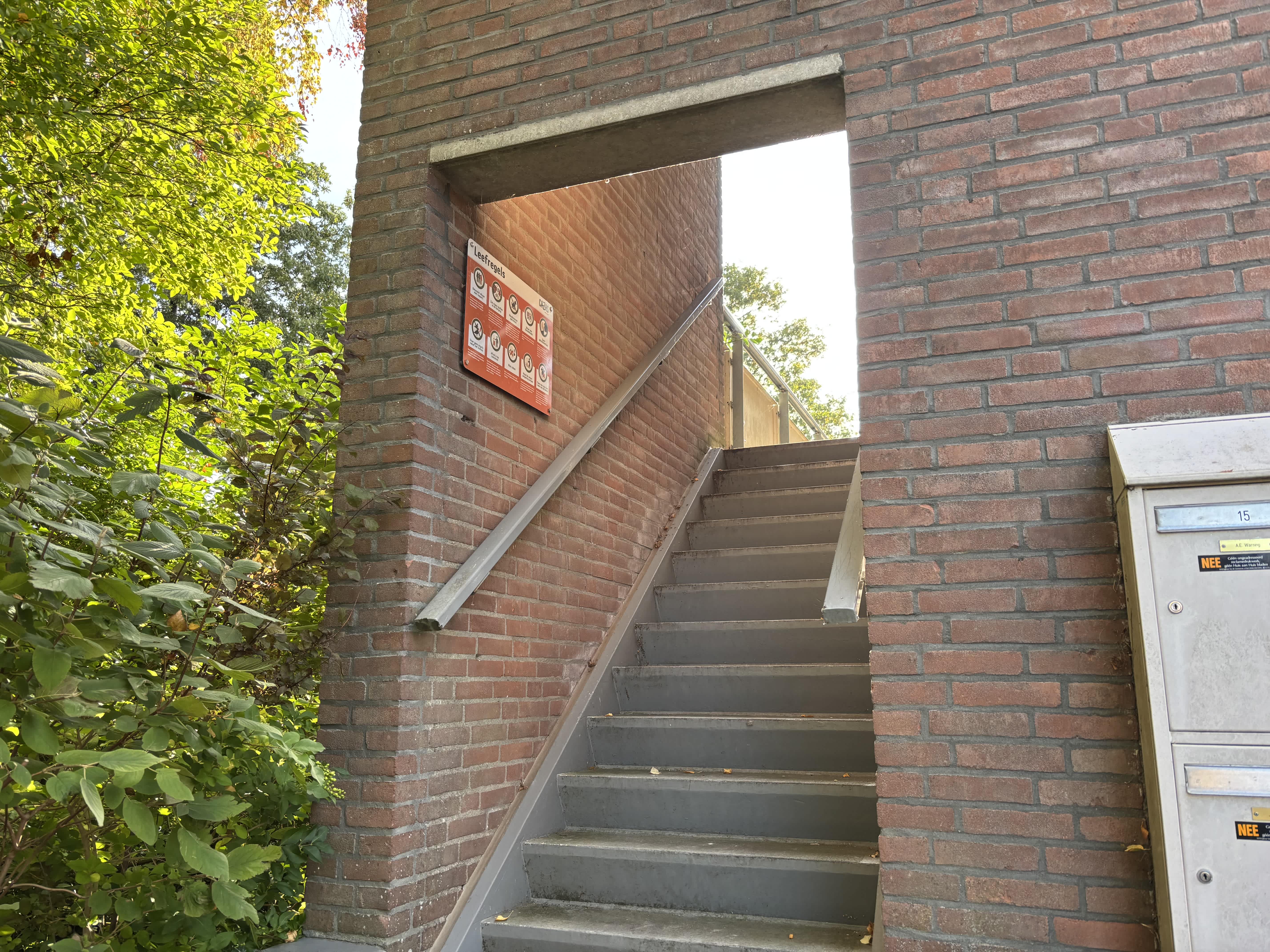 Foto 2