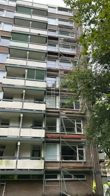 Bolestein 436 B