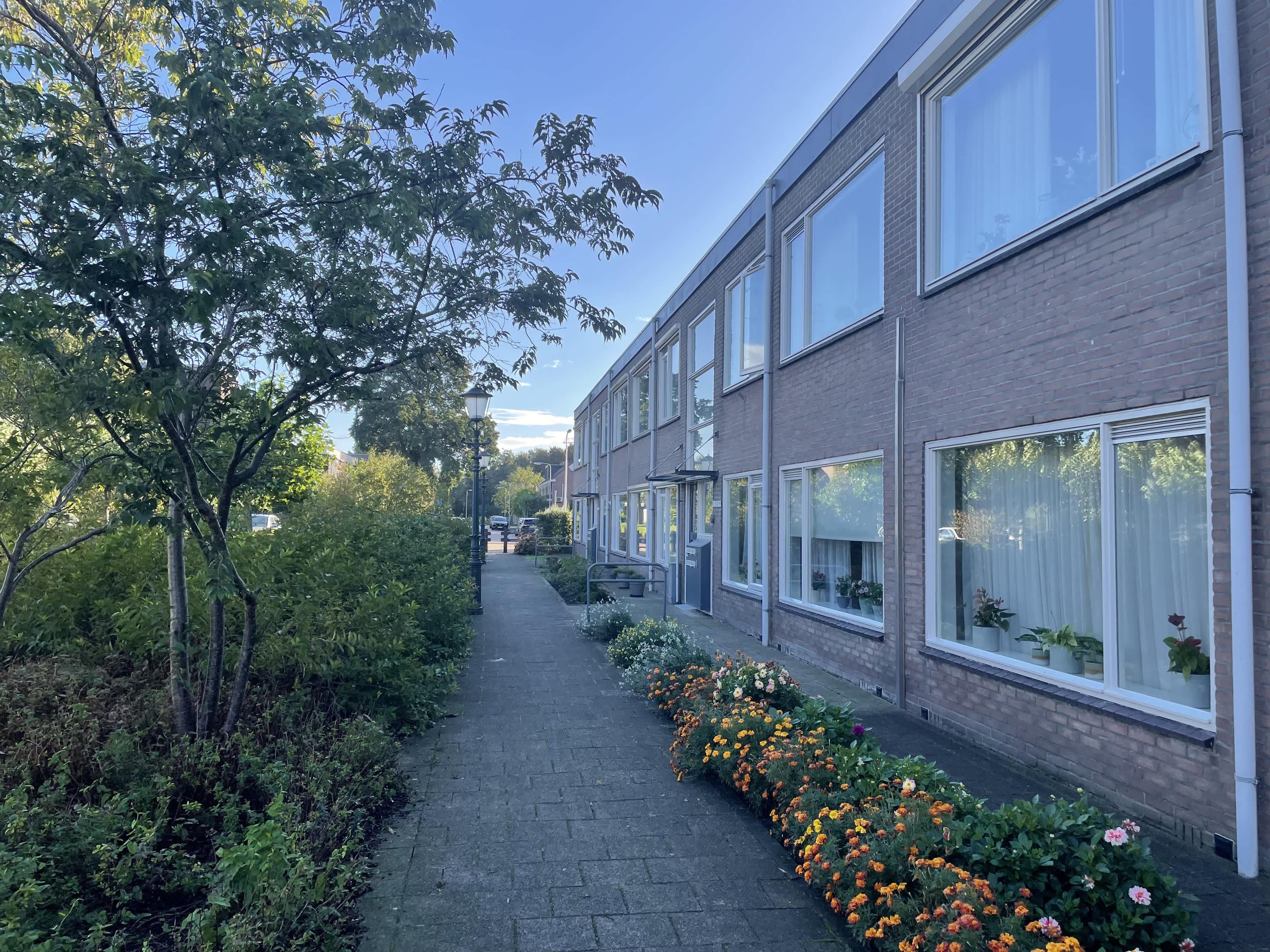 Begoniaplein 22
