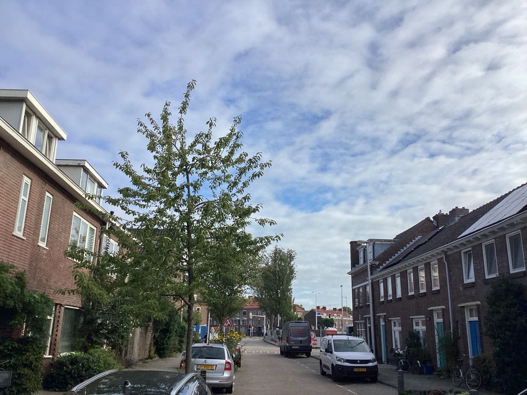 Tuinbouwstraat 15 - Utrecht