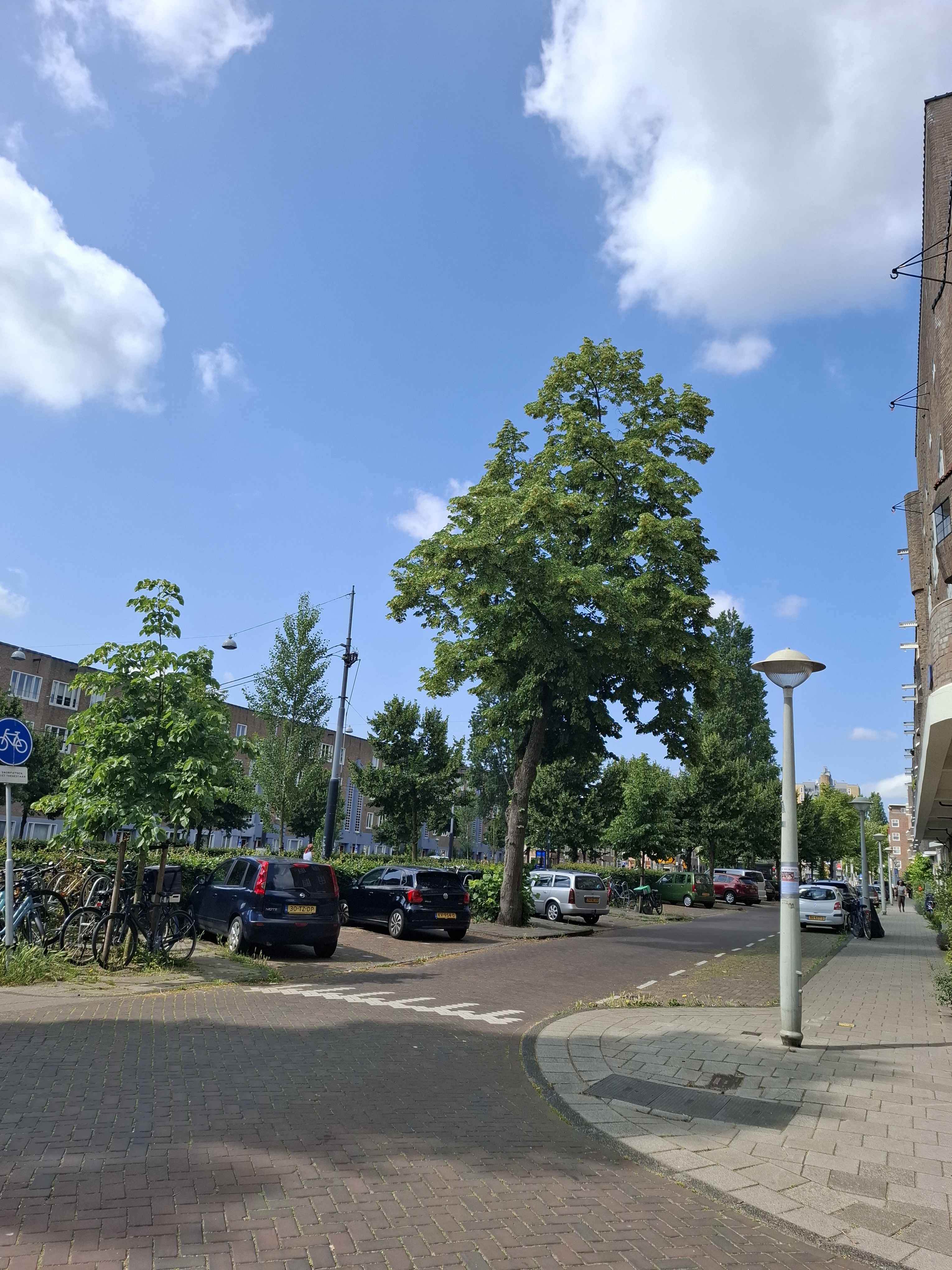 Vrijheidslaan 50-1E - Amsterdam