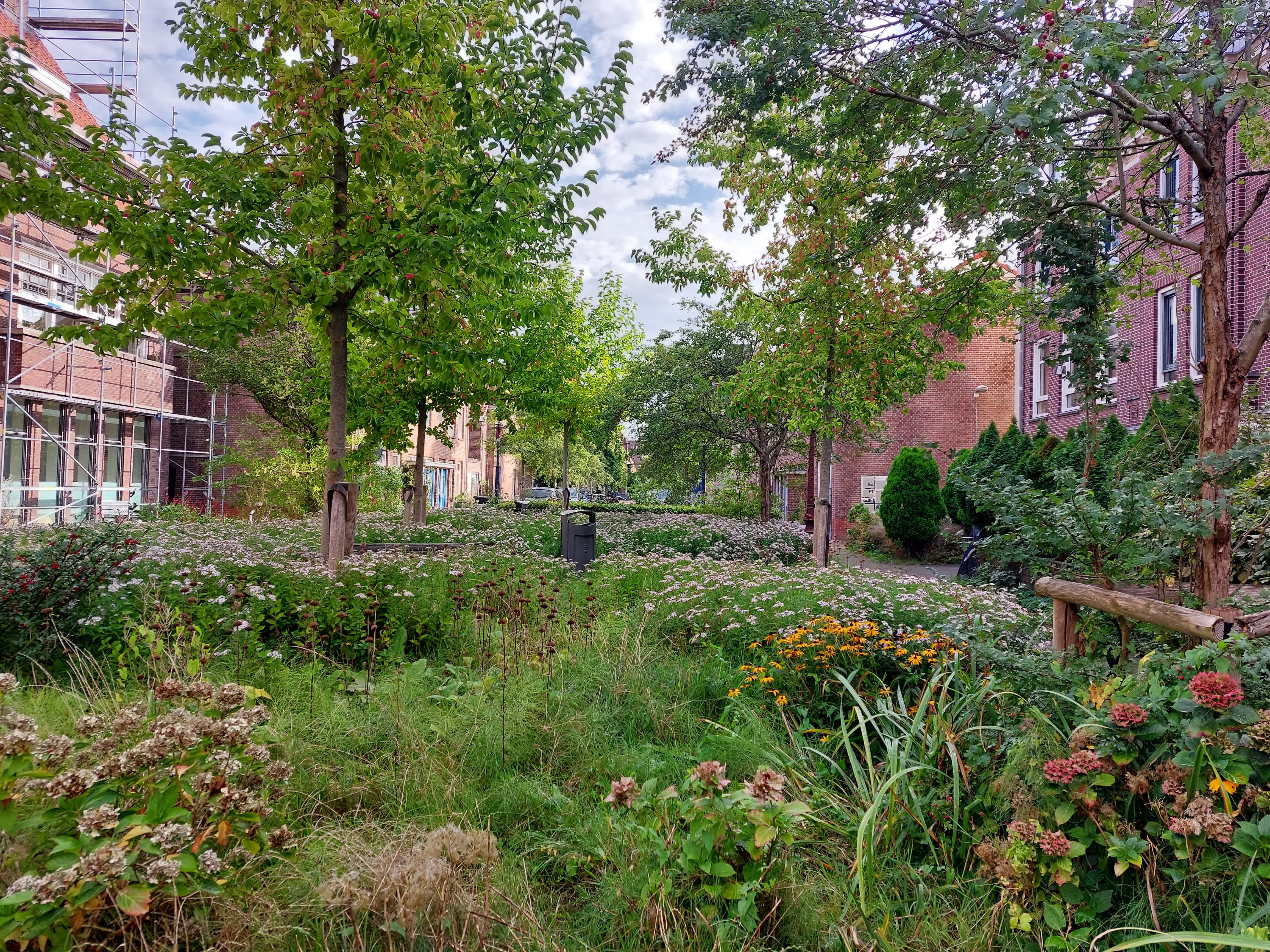 Kraaipanstraat 71-1E - Amsterdam