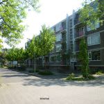 Elbestraat 147 - Heemskerk