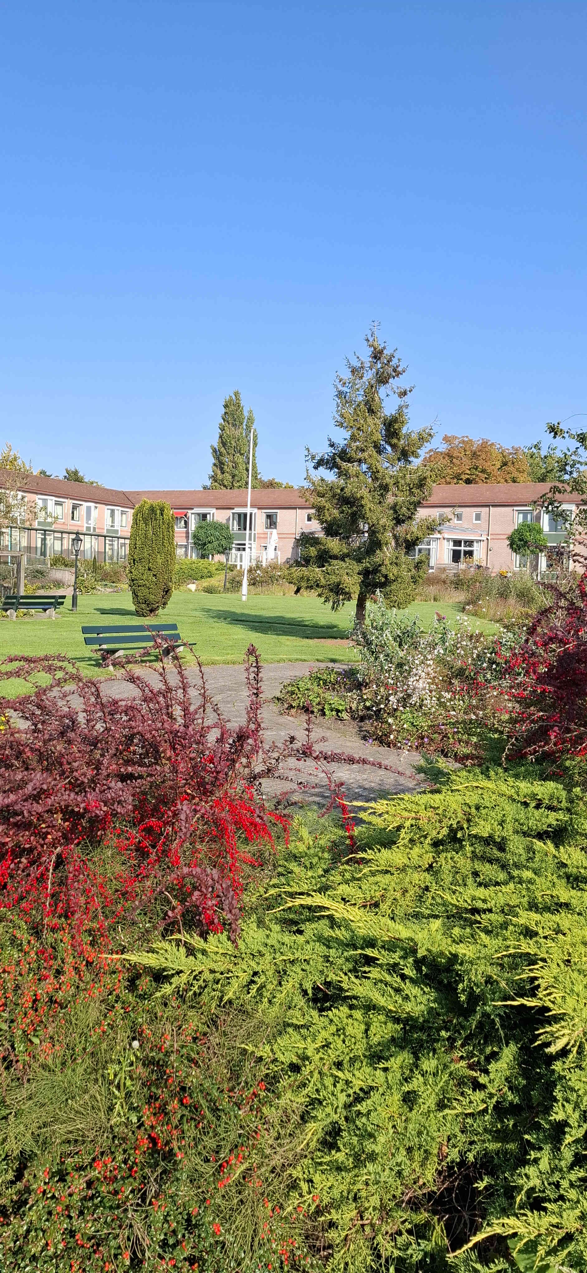 Wagenberg 7 - Achterveld