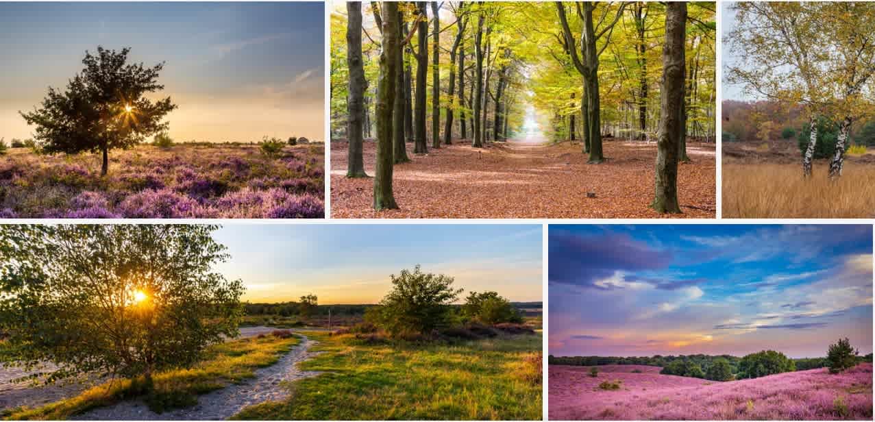 Erfgooiersstraat 453 - Hilversum