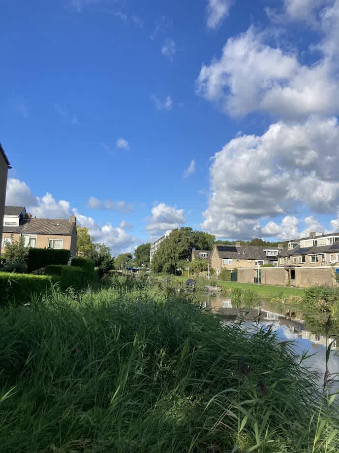 Barre Ven 6 - Zaandijk