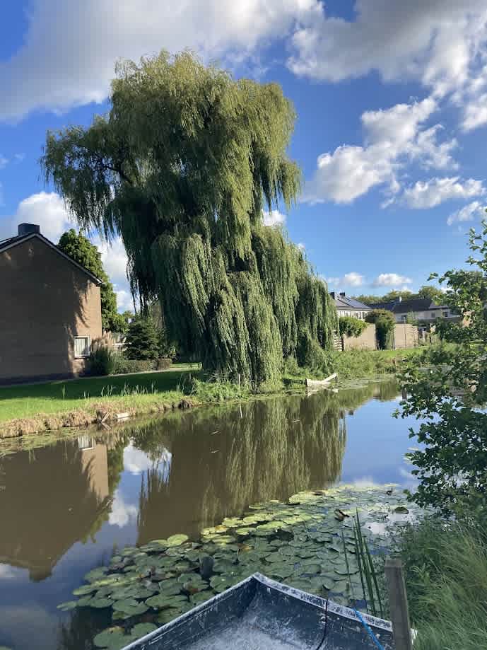 Barre Ven 6 - Zaandijk