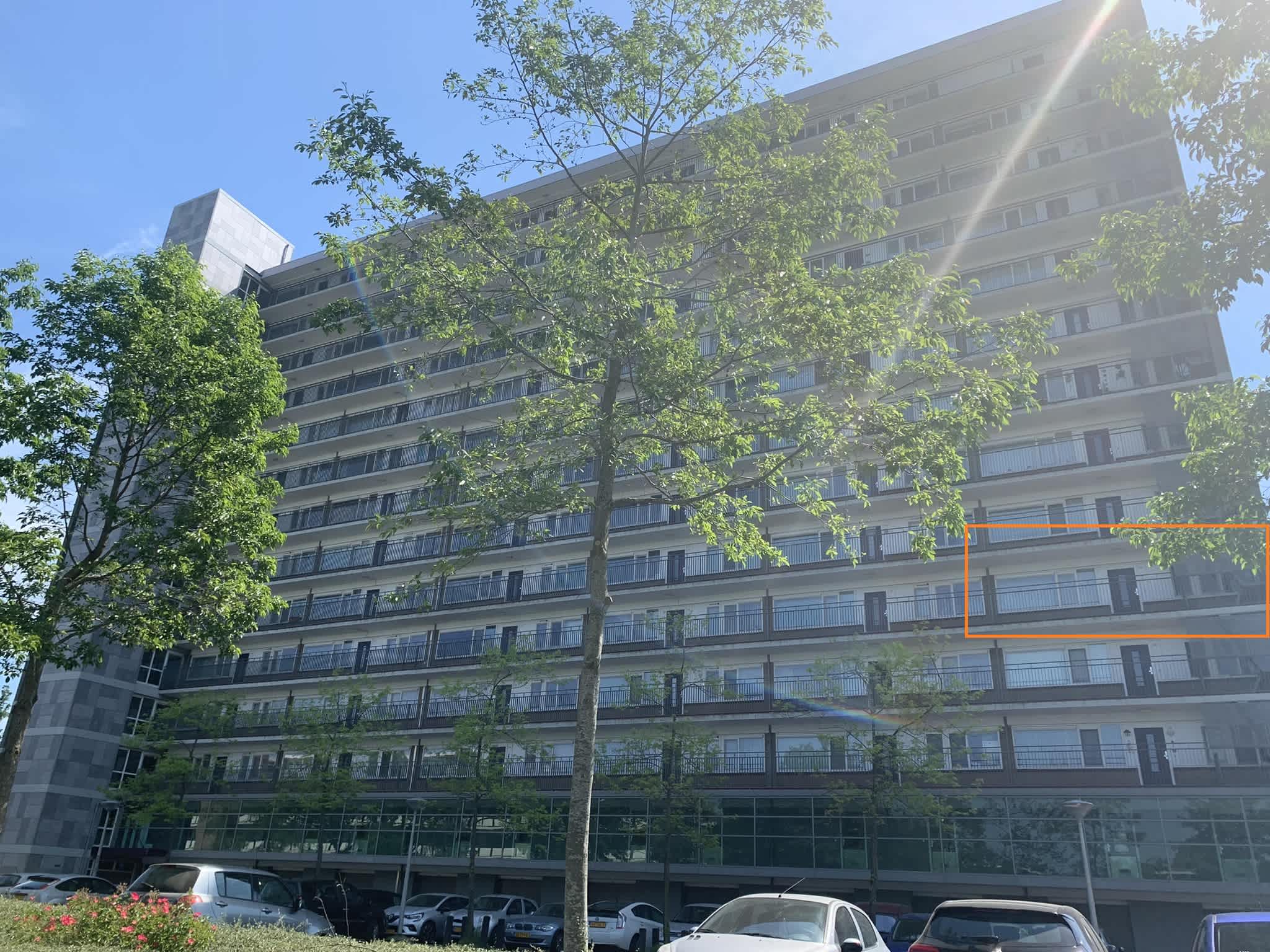 Mont Blanc 42 - Amstelveen