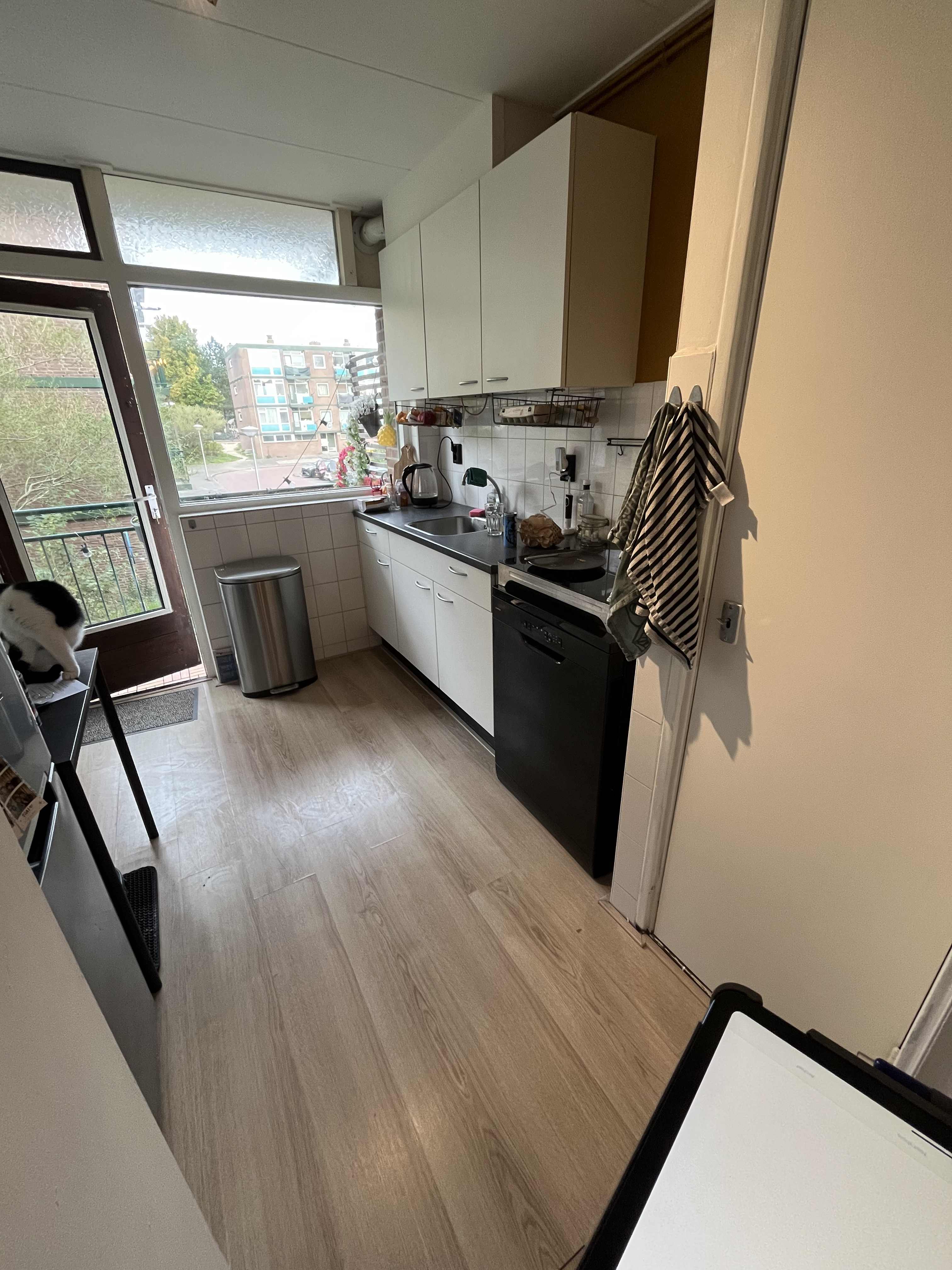 Hazevlak 22 - IJmuiden