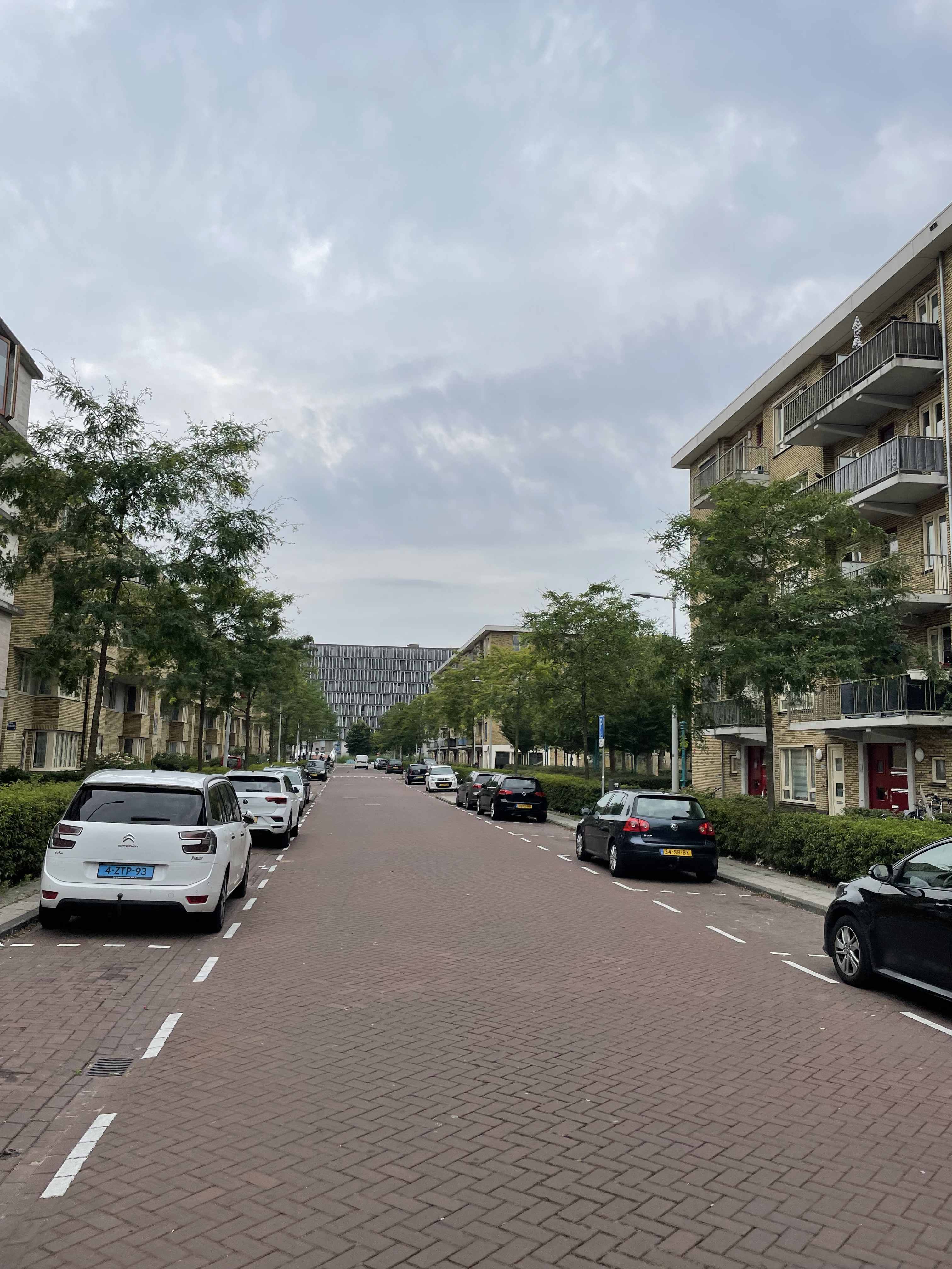 Jacob van Arteveldestraat 29-D - Amsterdam