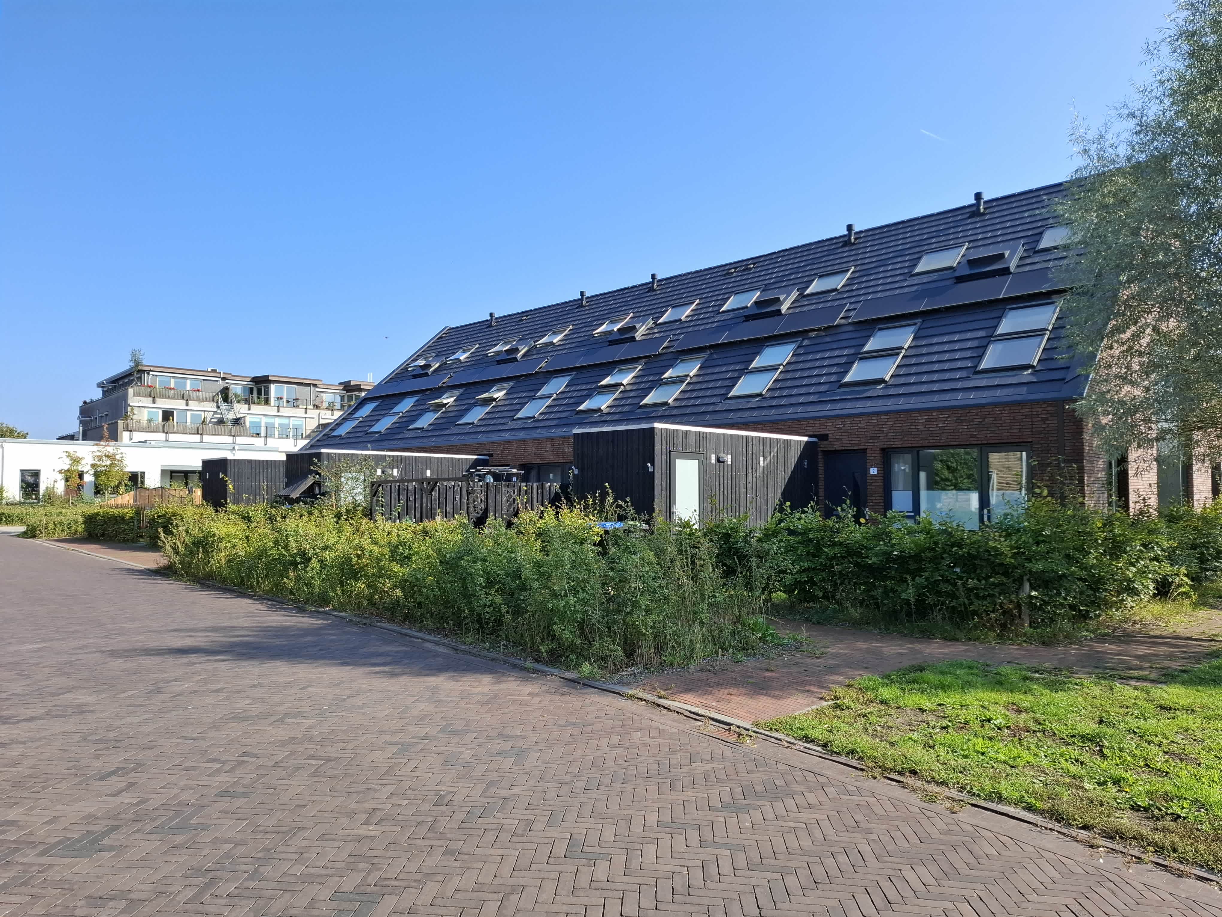 Hazendam 8 - Achterveld