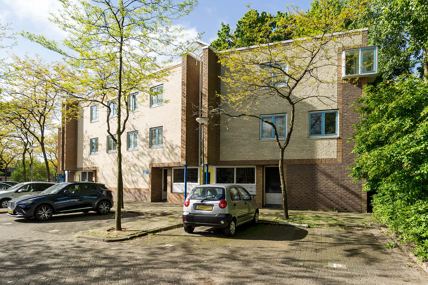 Purpervlinder 61 - Amersfoort