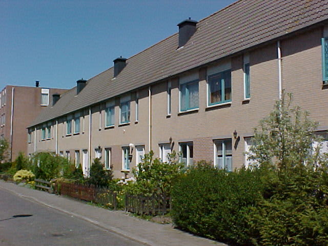 Narcispad 12 - Almere