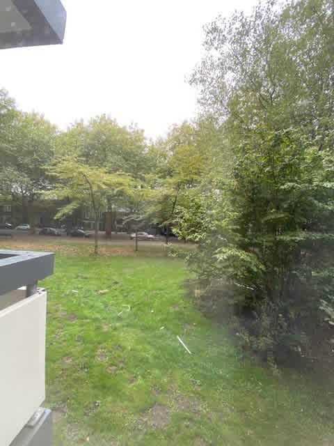 Bolestein 422 - Amsterdam