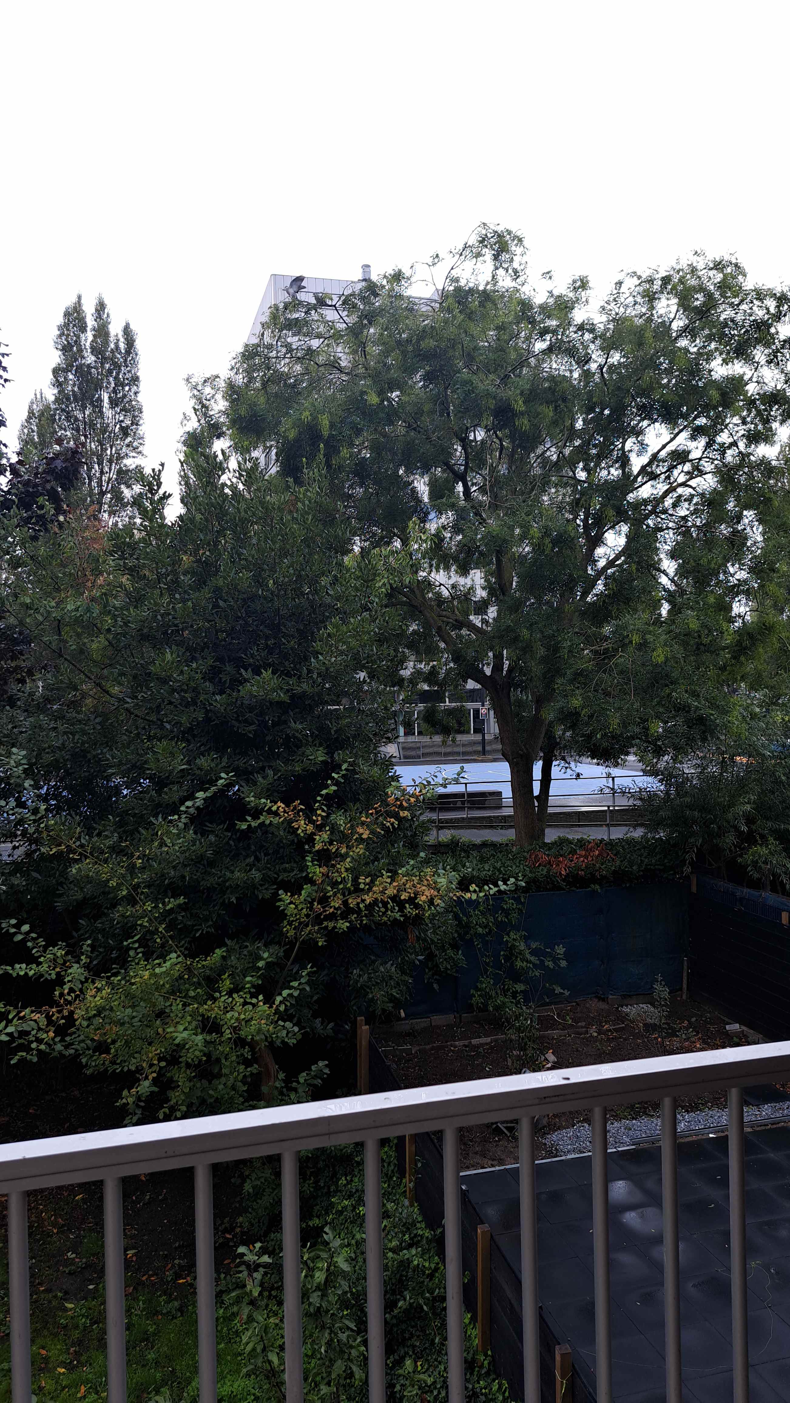 Oostelijke Handelskade 40-1 - Amsterdam