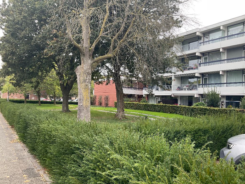 Wadenoijenlaan 220 - Tiel