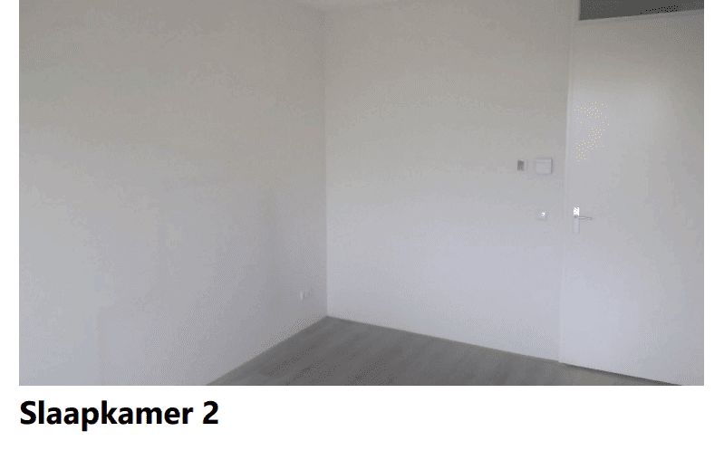 Laurierhof 41 - Aalsmeer