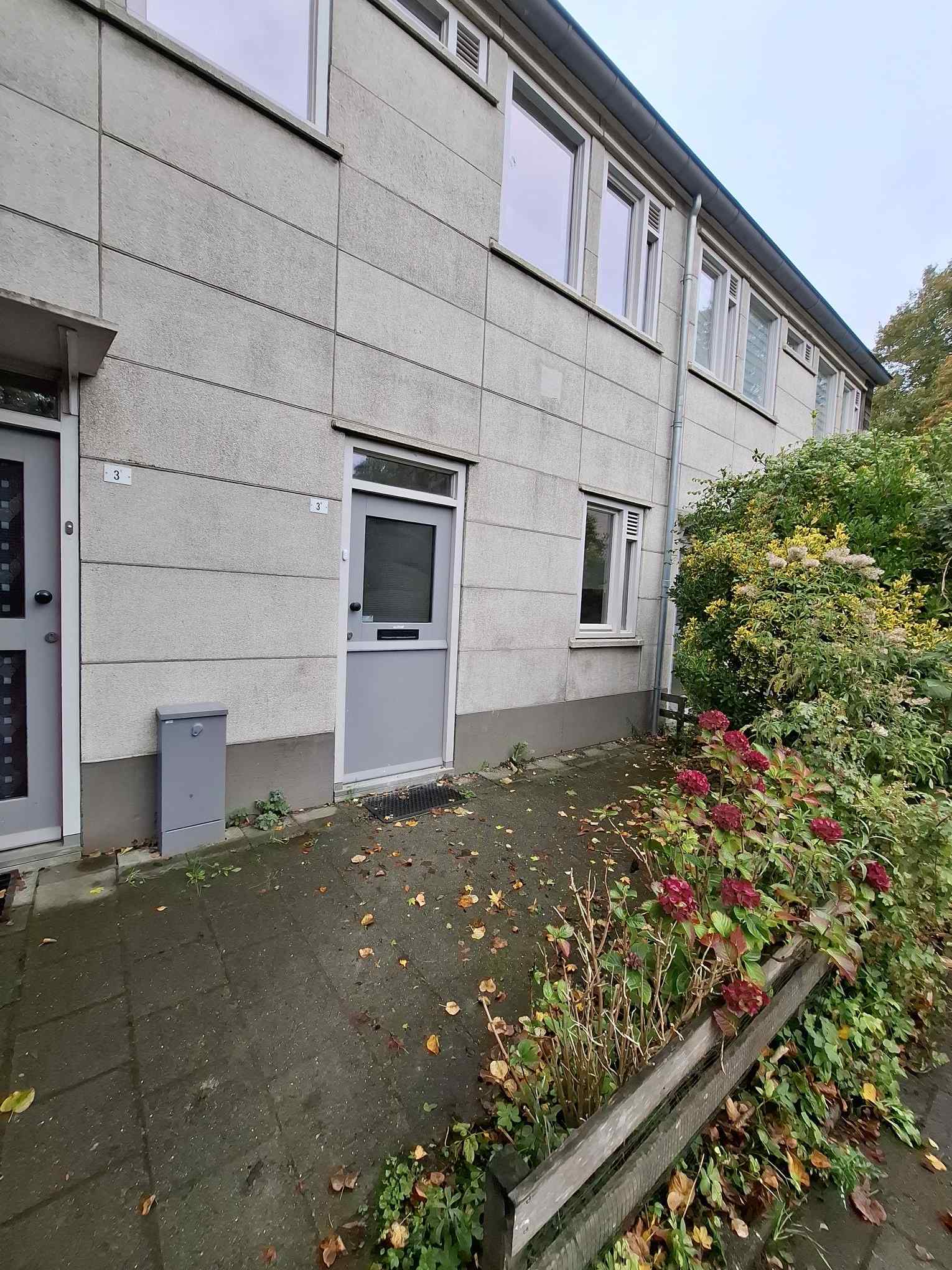 Kapteynstraat 3H - Amsterdam