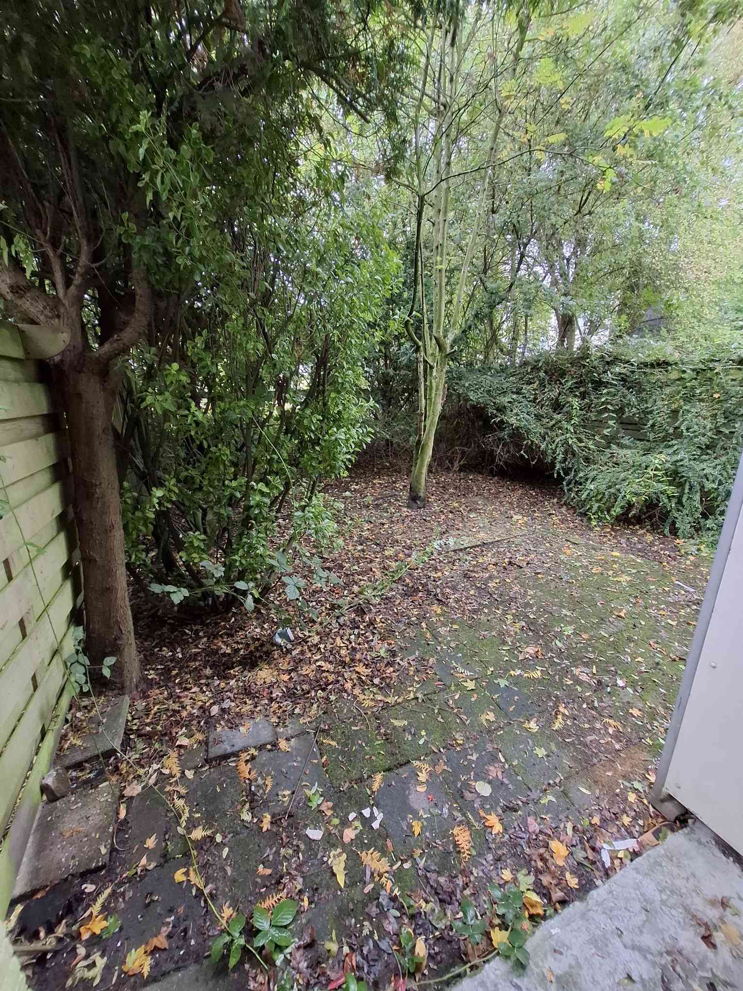 Kapteynstraat 3H - Amsterdam