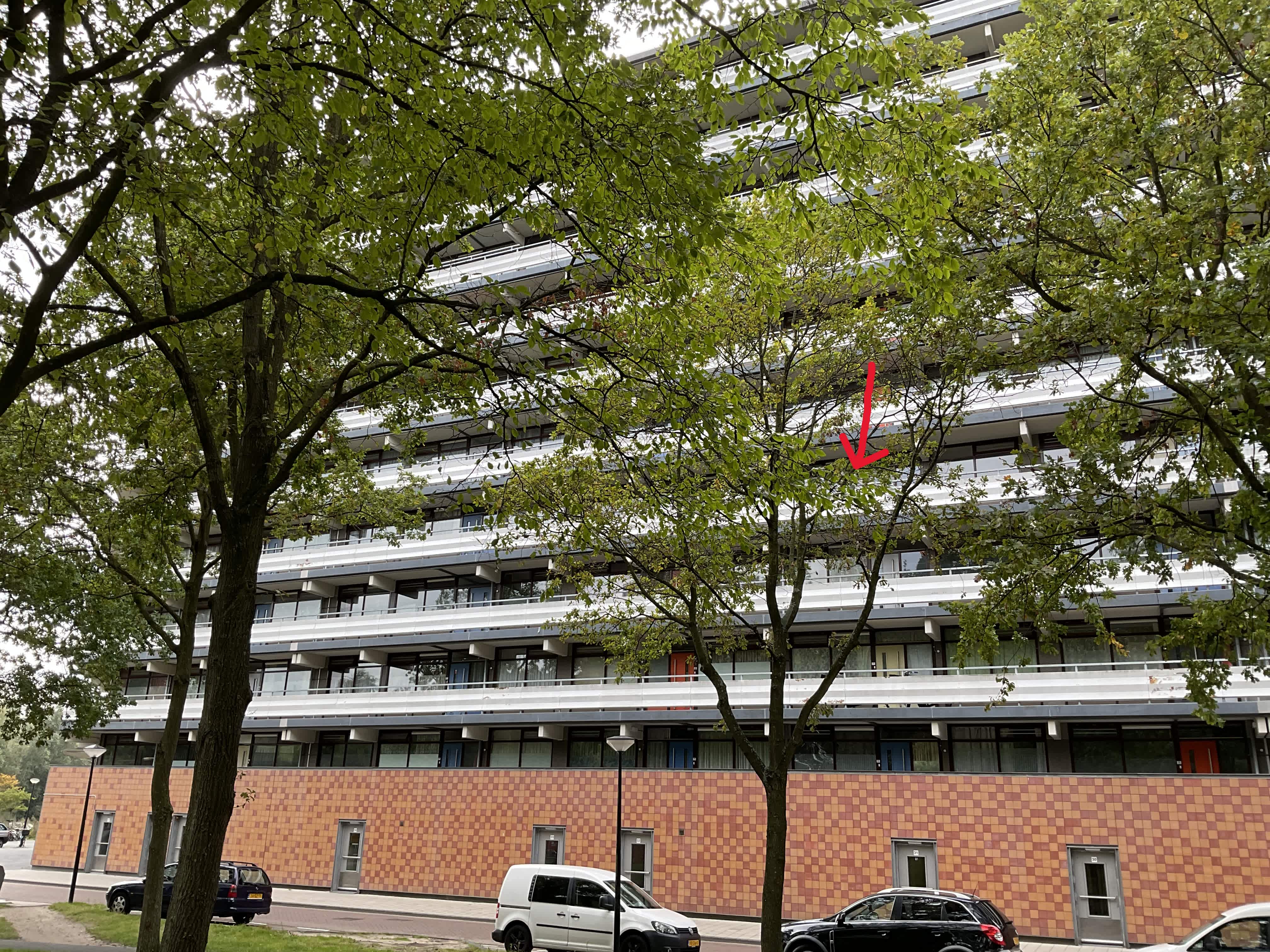 Hakfort 327 - Amsterdam