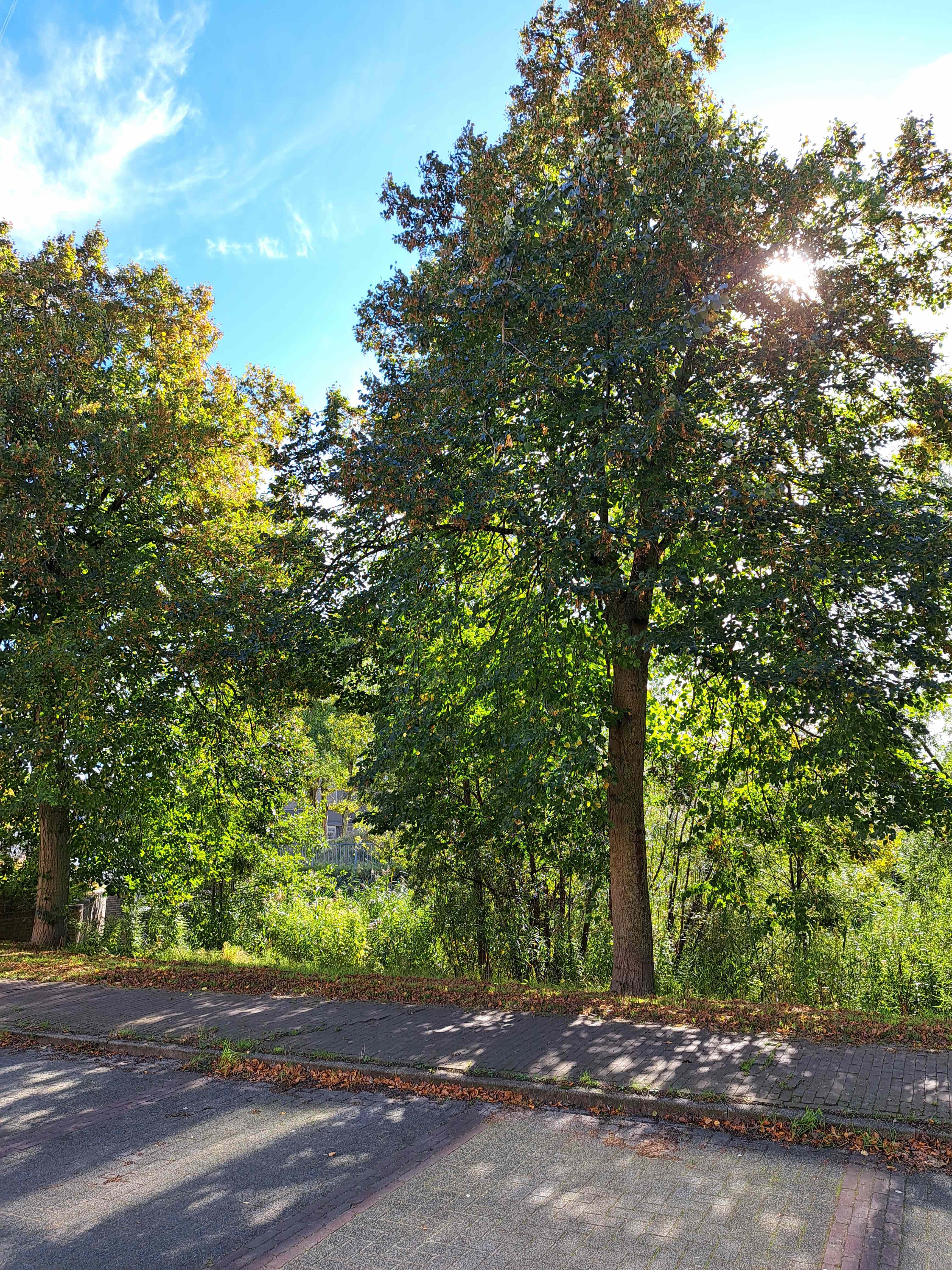 Binnenhof 1 - Almere