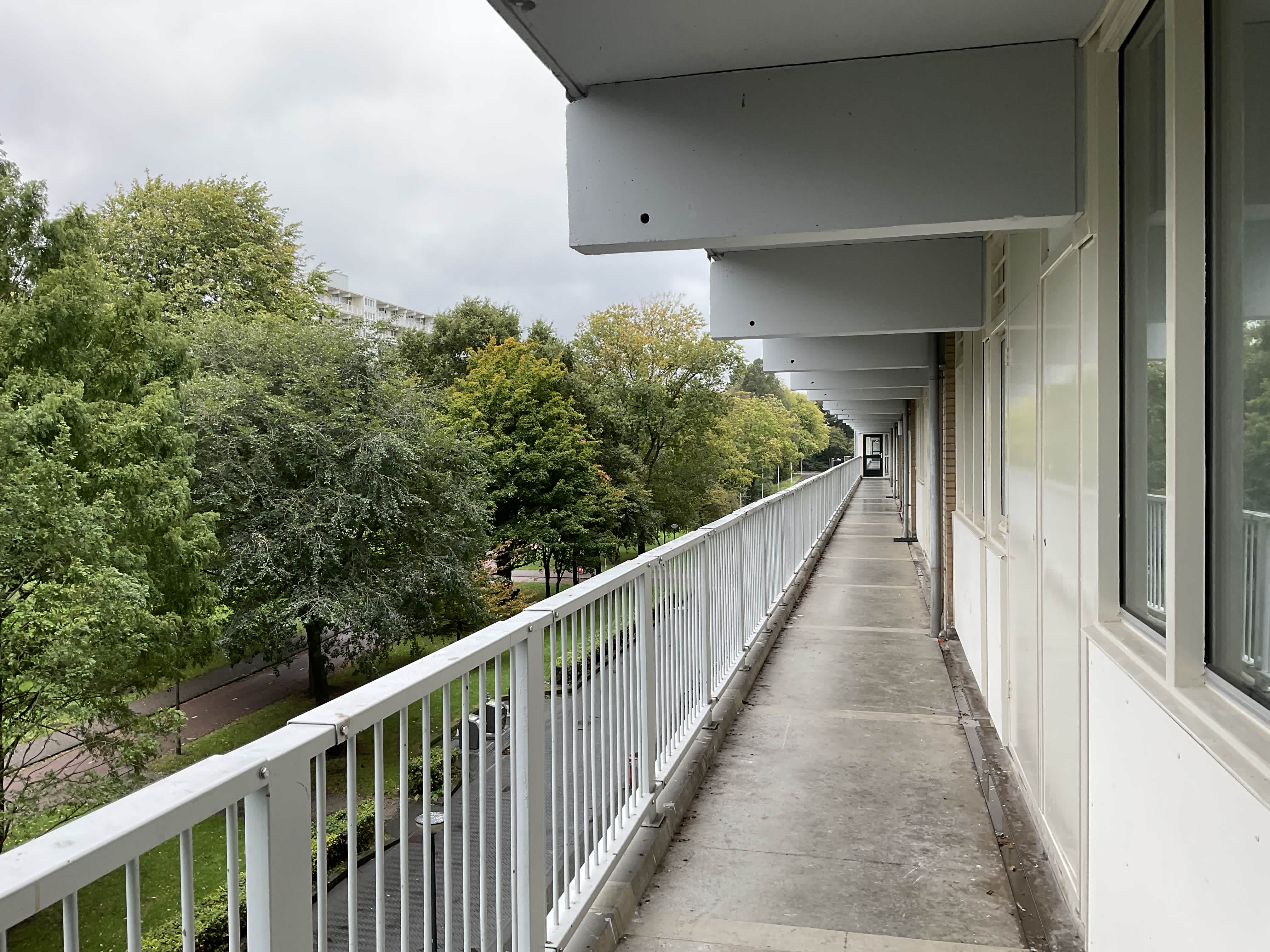 Haag en Veld 256 - Amsterdam