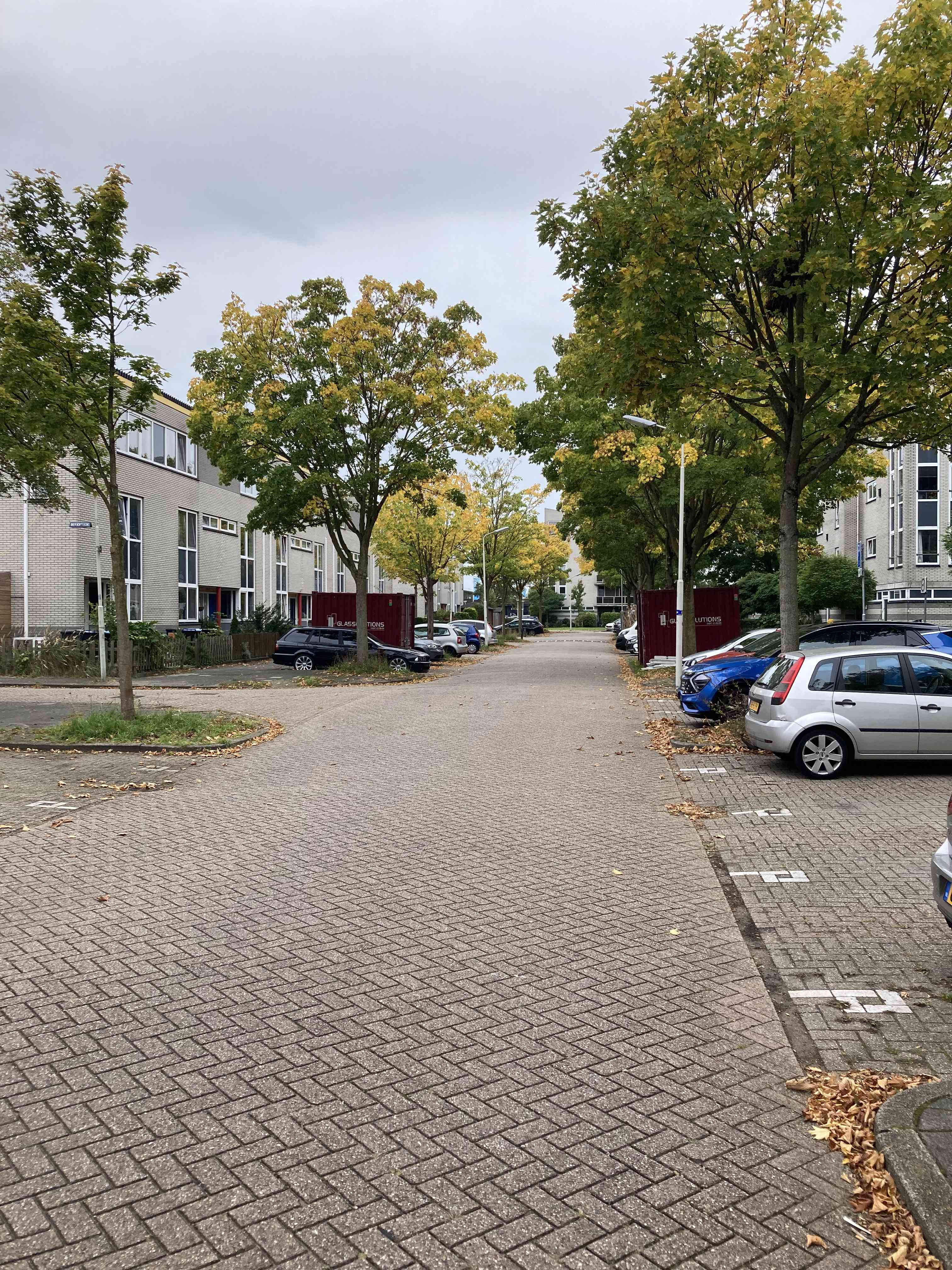 Langeweide 3 - Zaandam