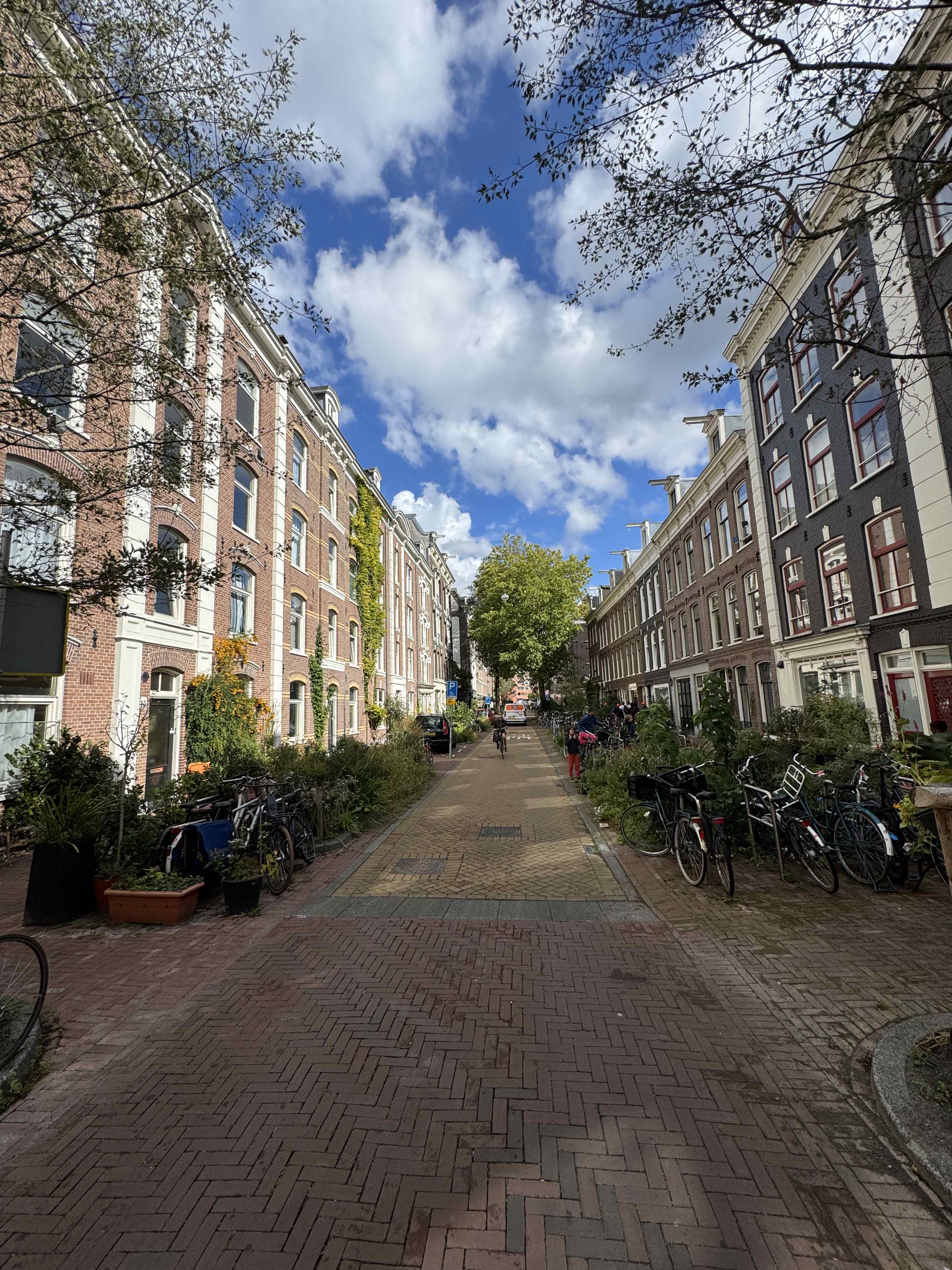 Eerste Jacob van Campenstraat 13-2 L - Amsterdam