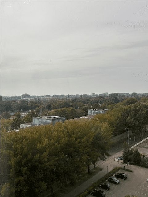 Plesostraat 531 - Amsterdam