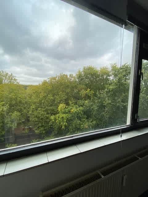 Bolestein 66B - Amsterdam